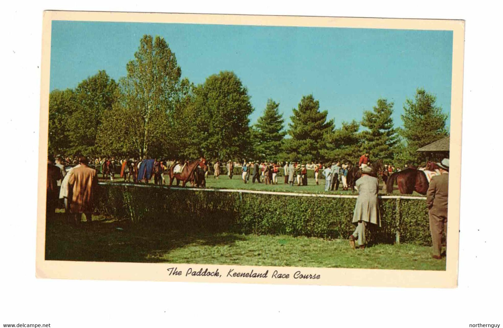 LEXINGTON, Kentucky, USA, The Paddock At Keeneland Race Course, Old Chrome Postcard - Lexington