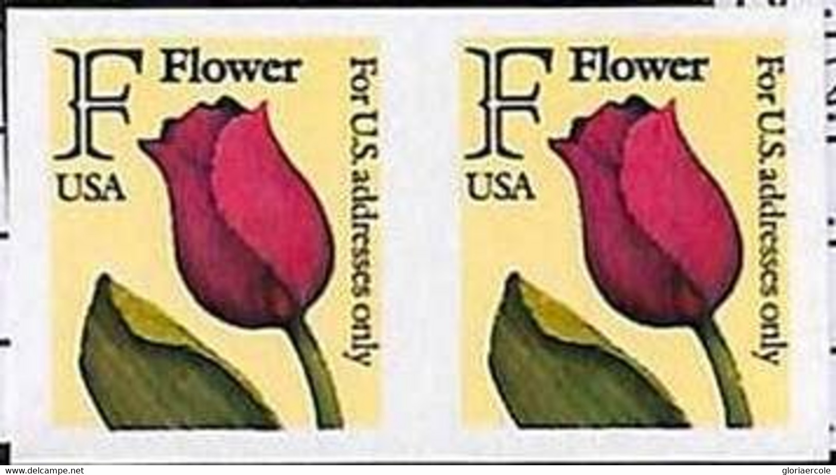 94800c -  USA - STAMPS - SC #  2518a  IMPERF PAIR - MNH  Flowers - Plaatfouten En Curiosa