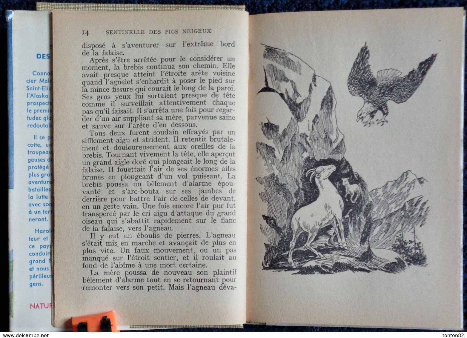 Éditions De L'Amitié / Collection " Heures Joyeuses " N° 43 - Sentinelle Des Pics Neigeux - H. Mc. Cracken  - ( 1954 ) . - Bibliotheque De L'Amitie