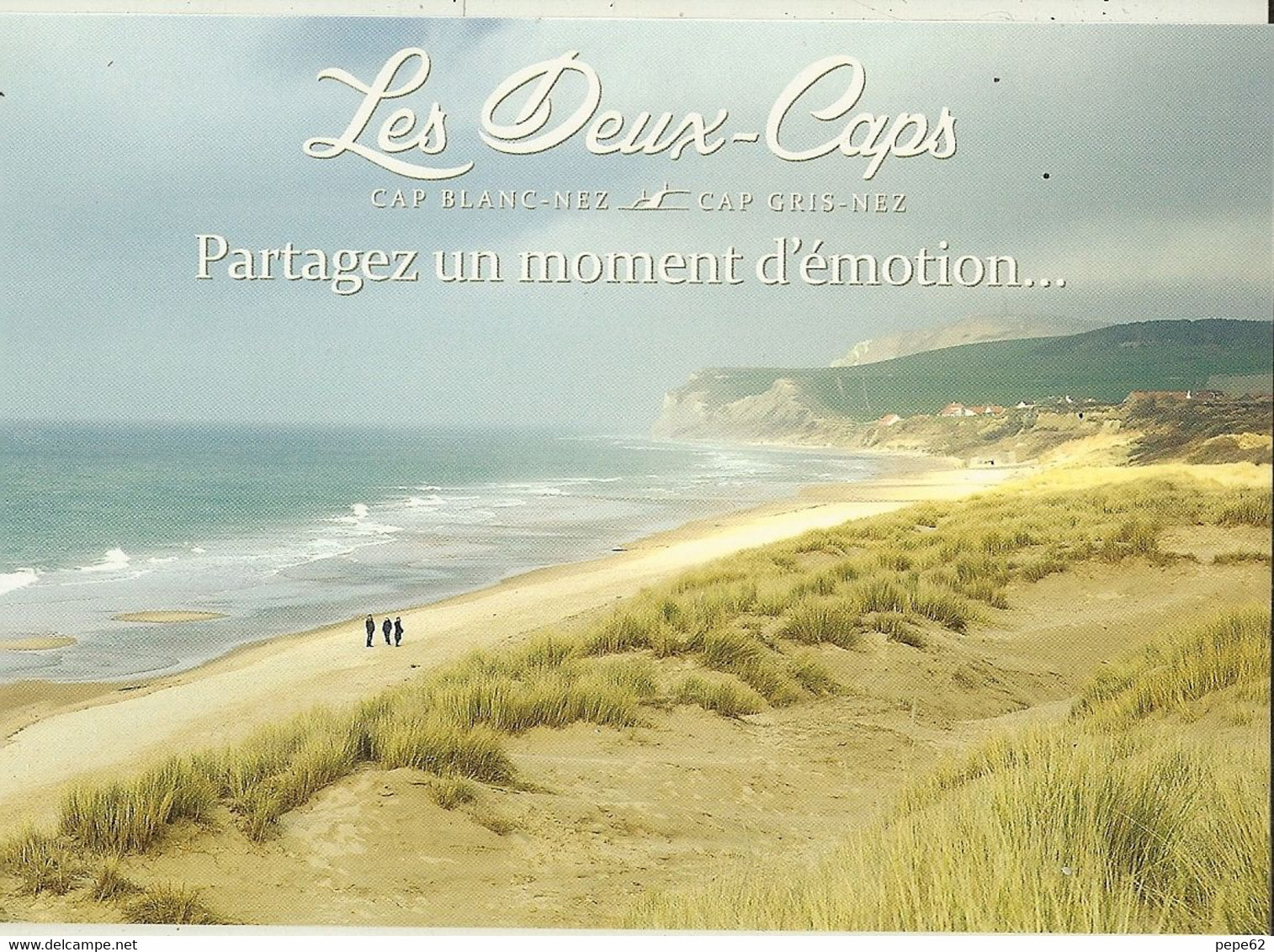 Cote D'opale-site Des Deux Caps-wissant -cpm - Nord-Pas-de-Calais