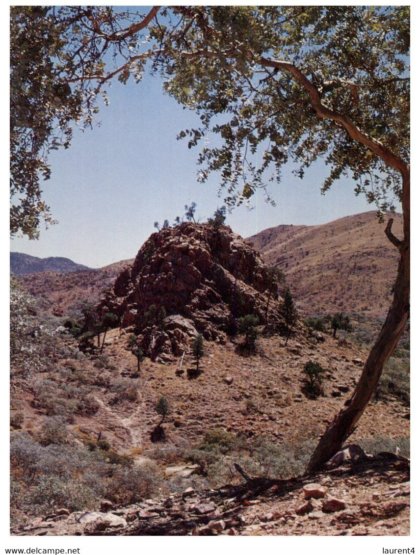 (DD 4) Australia - SA - Arkaroola - Flinders Ranges