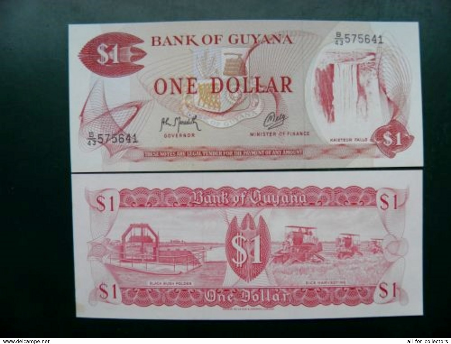 Banknote Guyana P-21f B/8 $1 Dollar Waterfall Fall Agroculture Transport Combains Rice Harvesting - Guyana