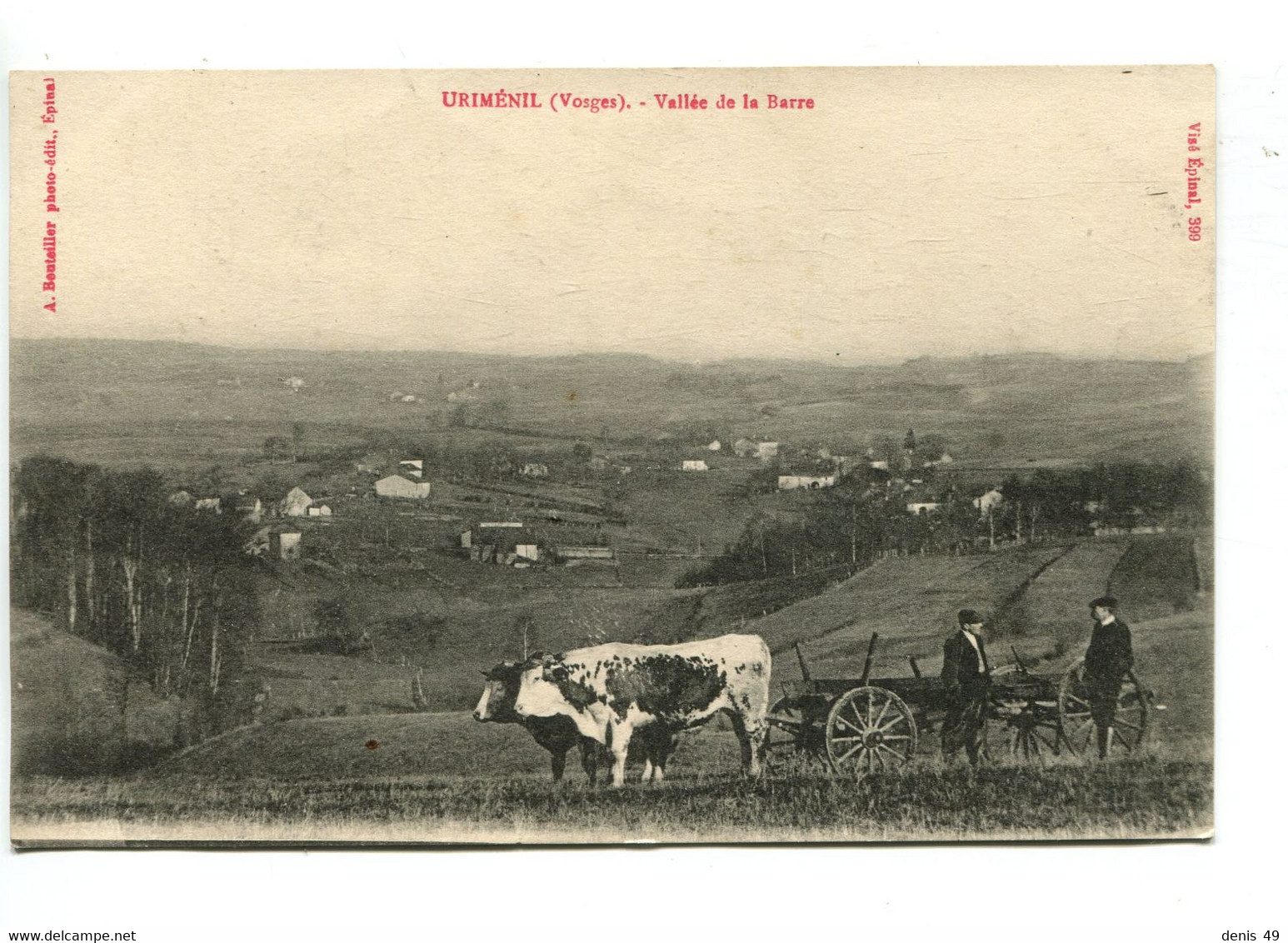 Uriménil Attelage Boeufs - Urimenil