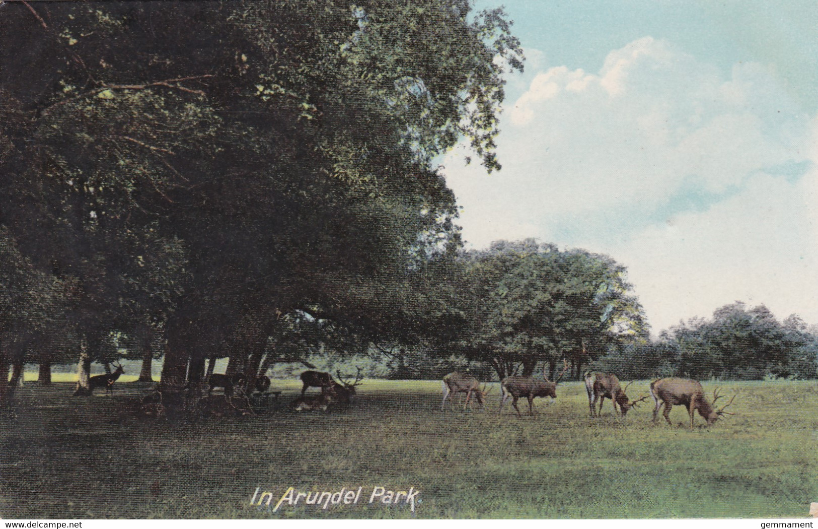 ARUNDEL PARK - Arundel