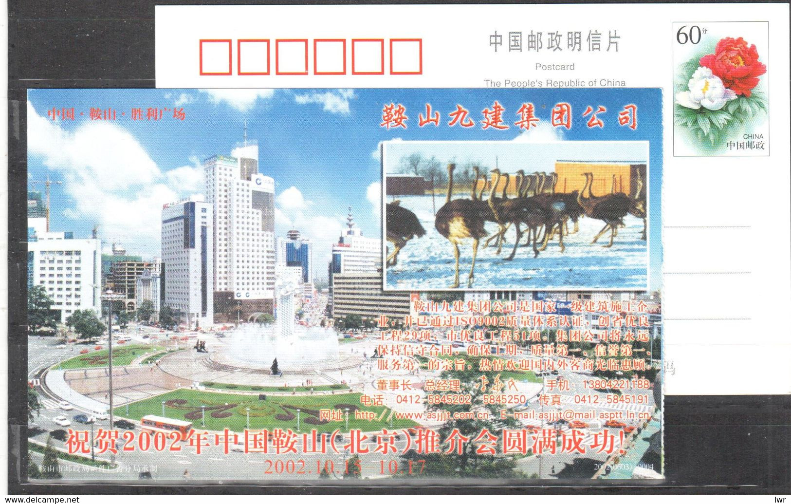 China - Postal Stationery - Ostrich Farm - Ostriches - Ostriches