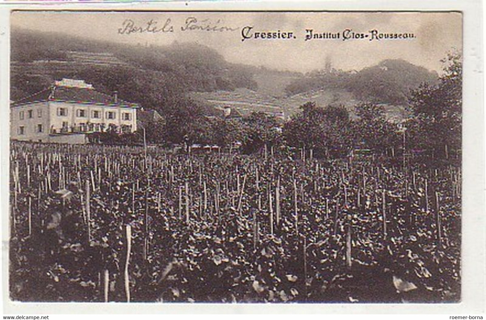 25118 Ak Cressier Institut Clos Rousseau Schweiz Um1910 - Cressier