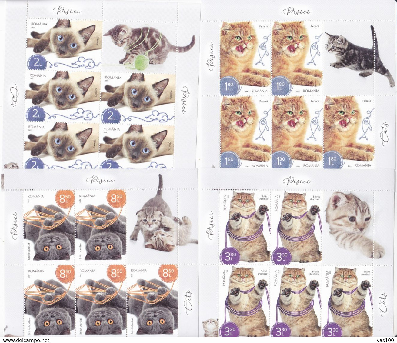 CATS DOMESTICS, MINISHEET 2020 ,MNH ** ROMANIA. - Andere & Zonder Classificatie