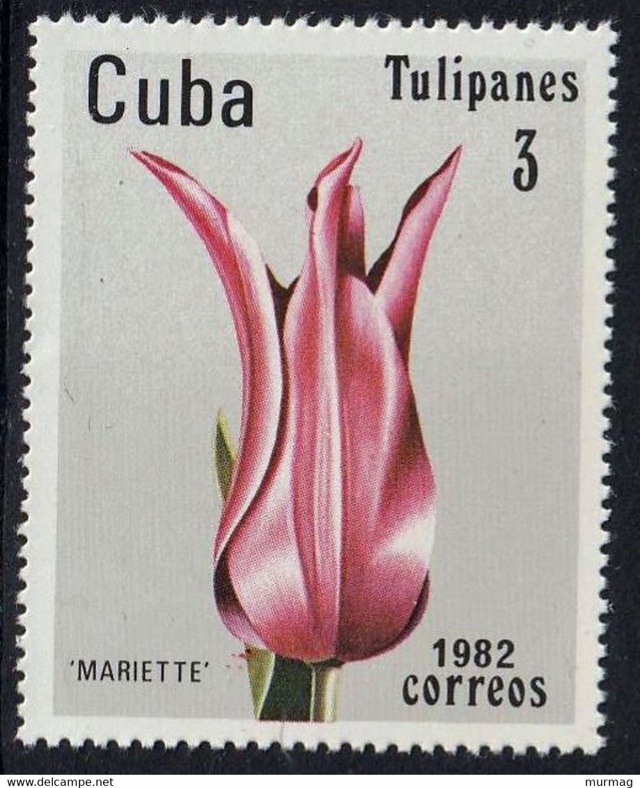 CUBA - Flore, Tulipes - Y&T N° 2346-2351 - MNH - Autres & Non Classés