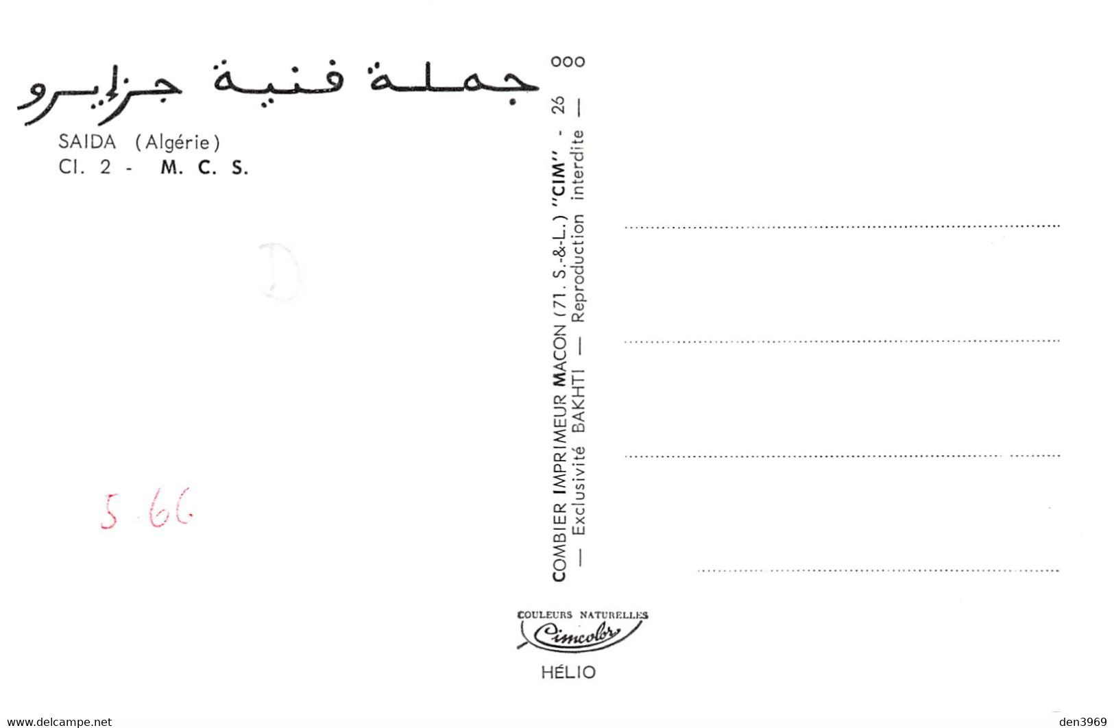 Algérie - SAÏDA - Mouloudia Club De Saïda - M. C. S. - Equipe De Football - Saida