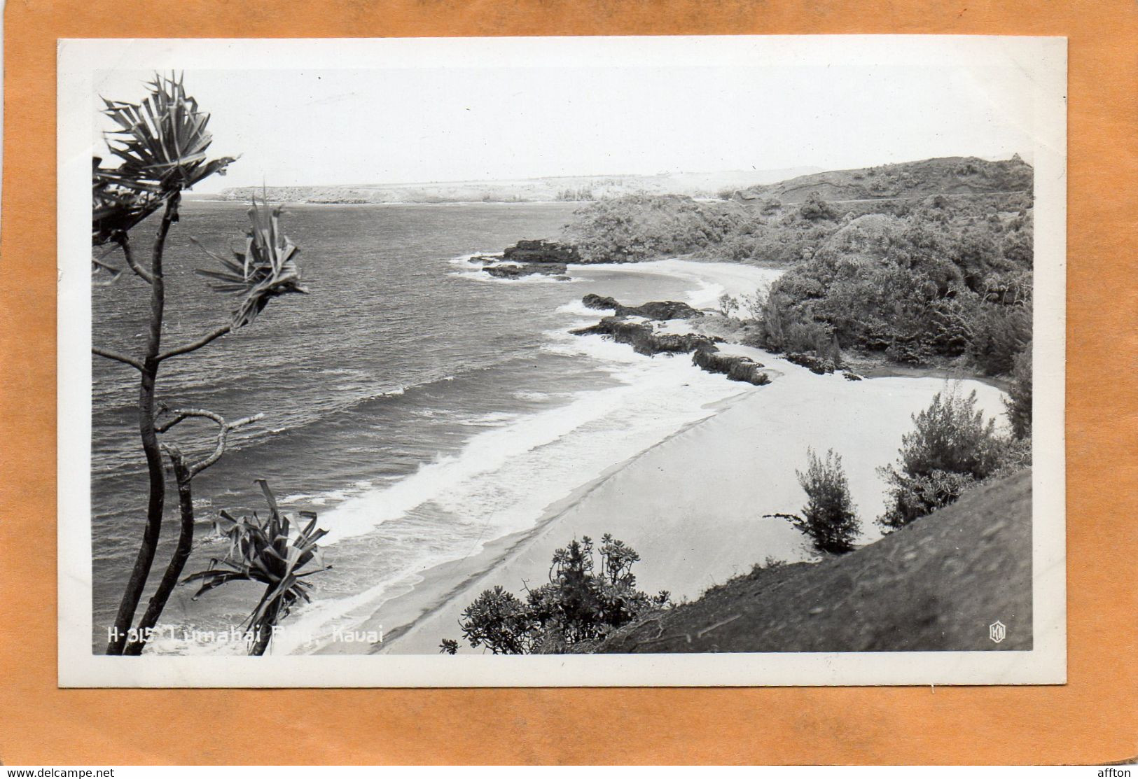 Hawaii Old Real Photo Postcard - Kauai
