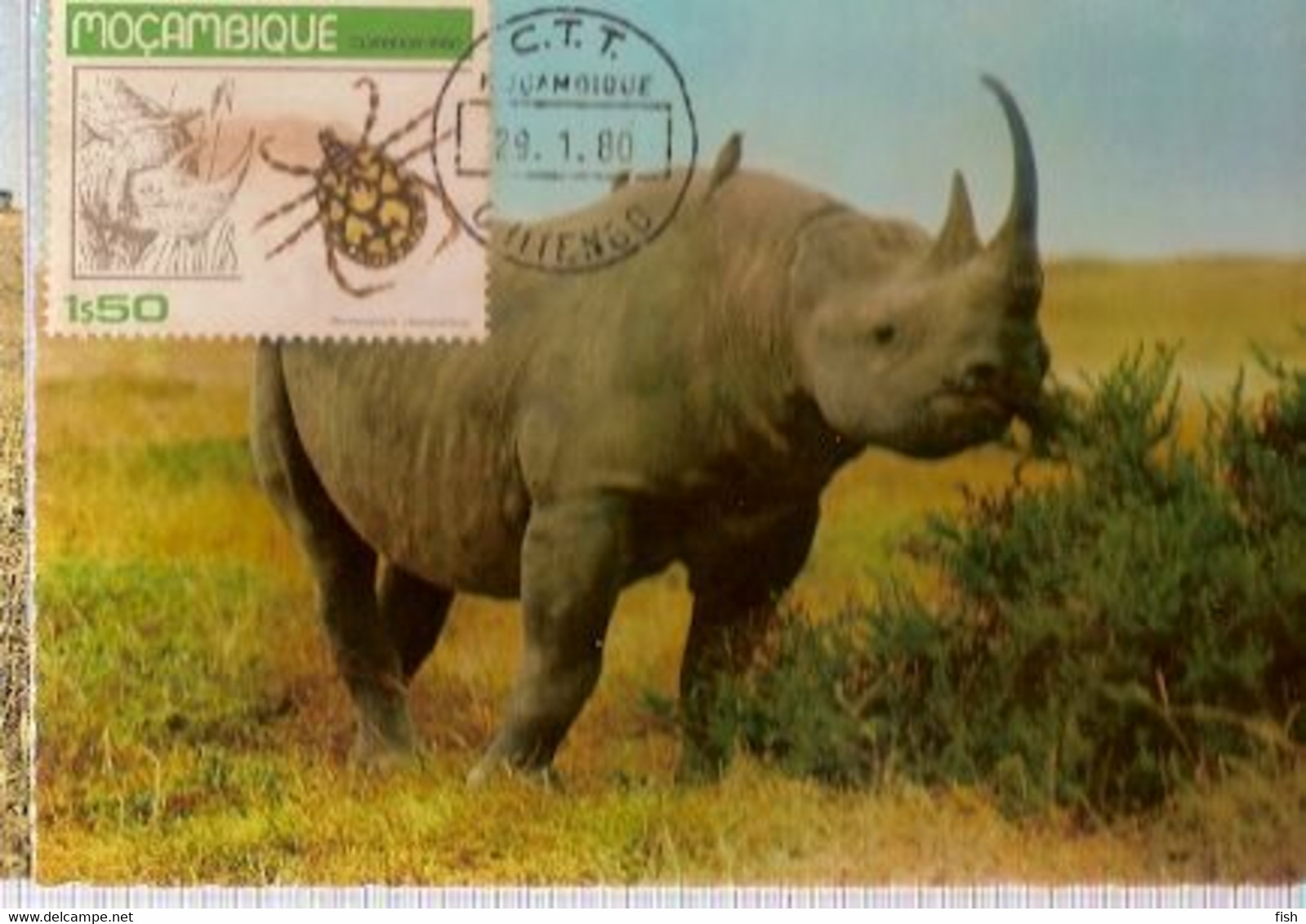 Mozambique & Maximum Card, Fauna, Rinoceronte Negro,  Diceros Bicornis, Chitengo 1980  (396) - Neushoorn