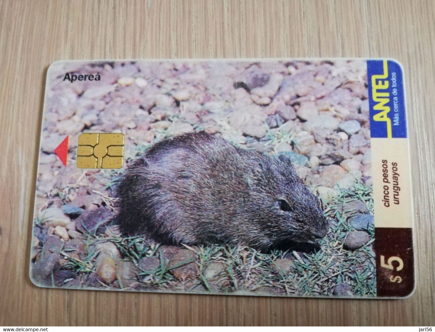 URUGUAY CHIPCARD  ANIMAL    $5  APEREA          Nice Used Card    **4552** - Uruguay