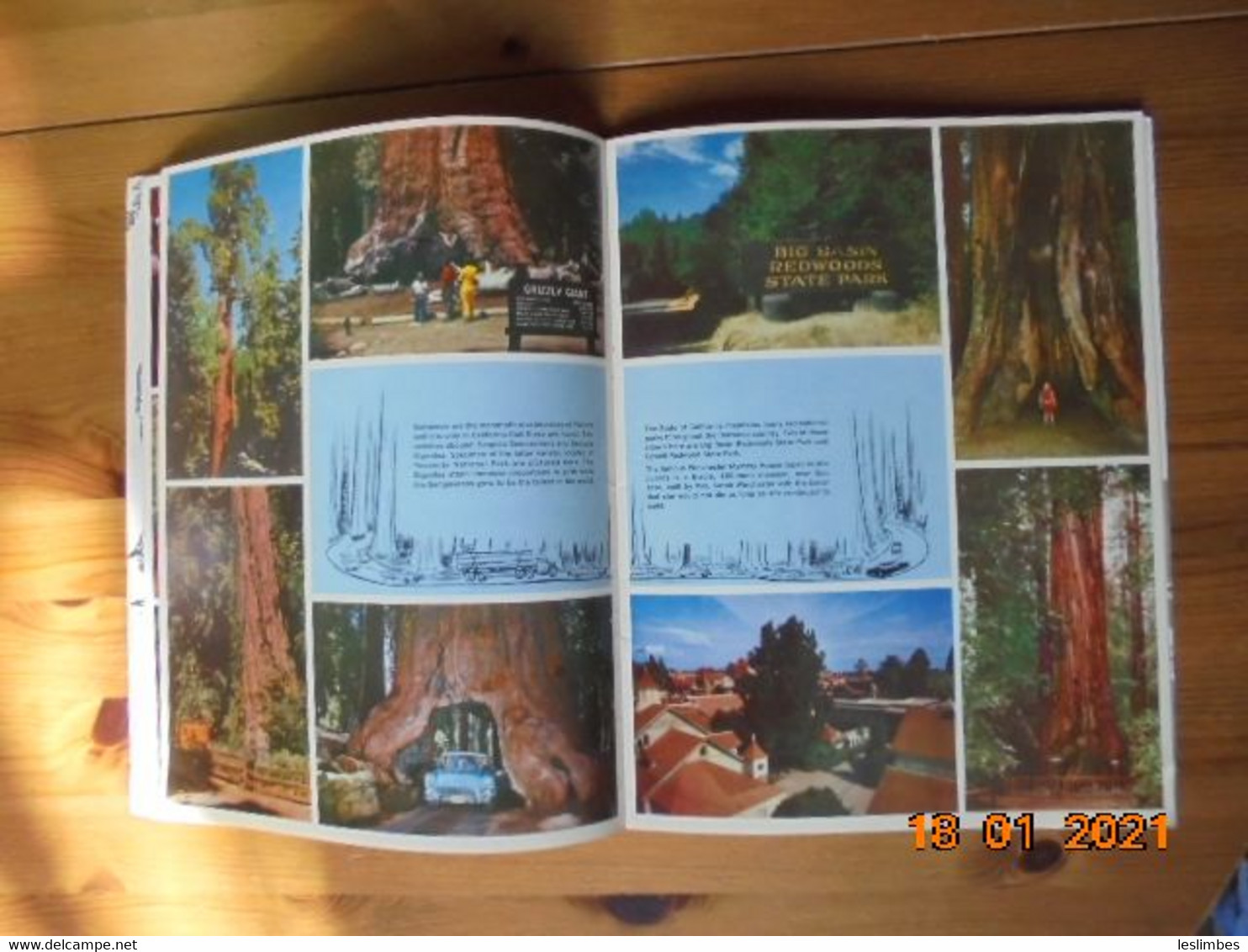 California Redwoods And The San Francisco Bay Area - Mike Roberts Photography - Staplebound 1965 - Géographie