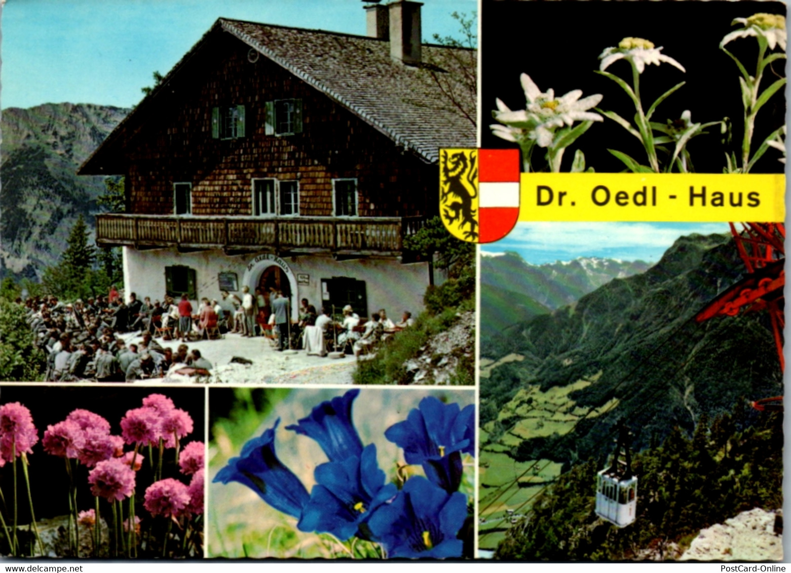 4590 - Salzburg - Dr. Friedrich Oedl Haus , Ödl , Mehrbildkarte - Nicht Gelaufen - Werfen