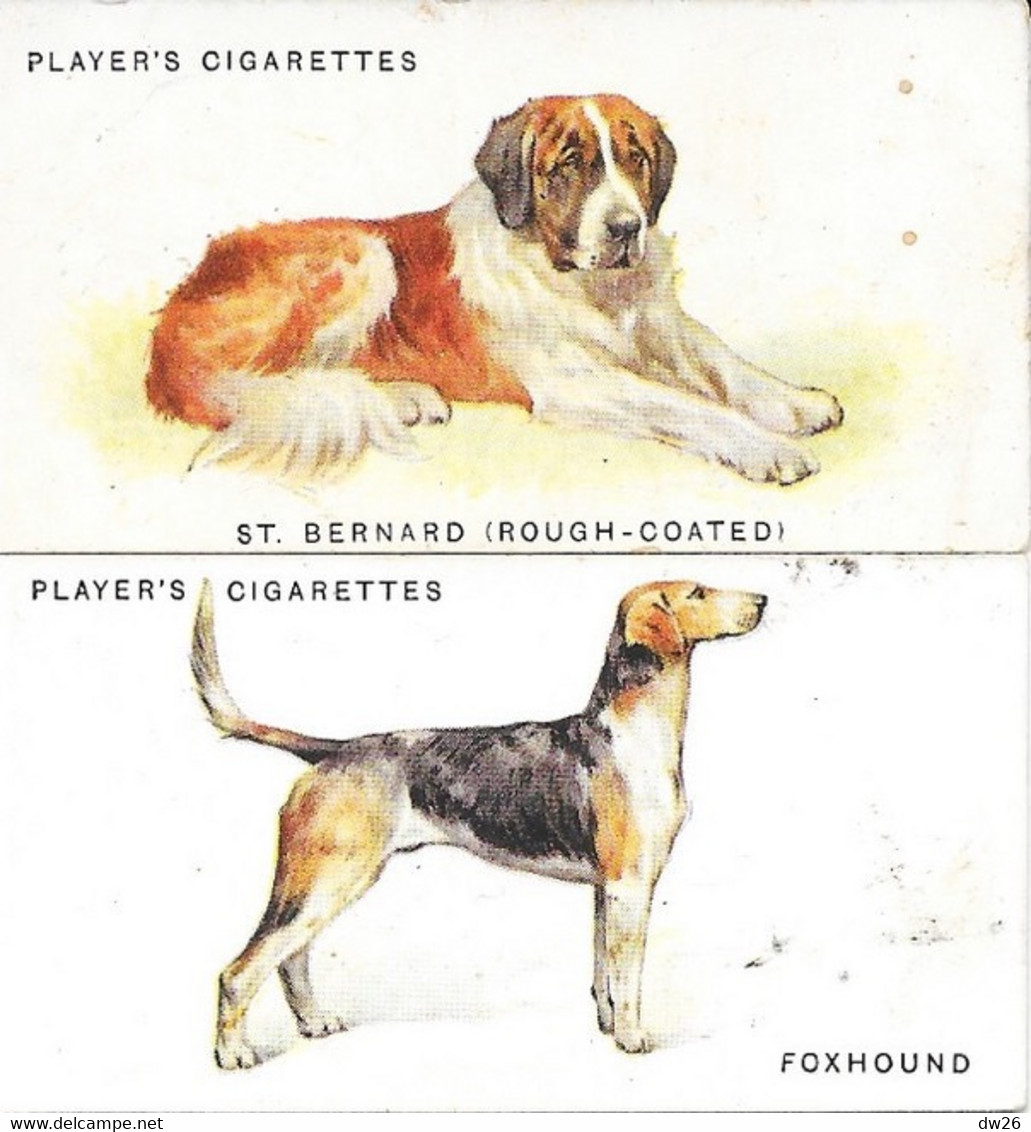 Chromos Cigarettes John Player's - Serie Chiens (Dogs N° 13, 27) St Bernard, Foxhound - Player's