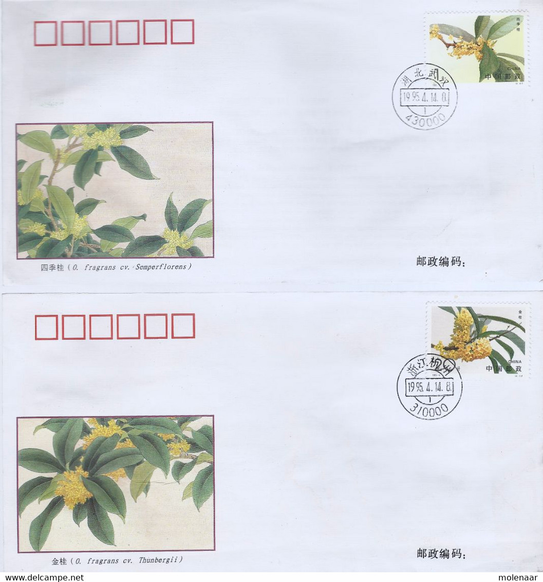 China Volksrepubliek FDC 1995-6 PJF-4 4 Covers (463) - Autres & Non Classés