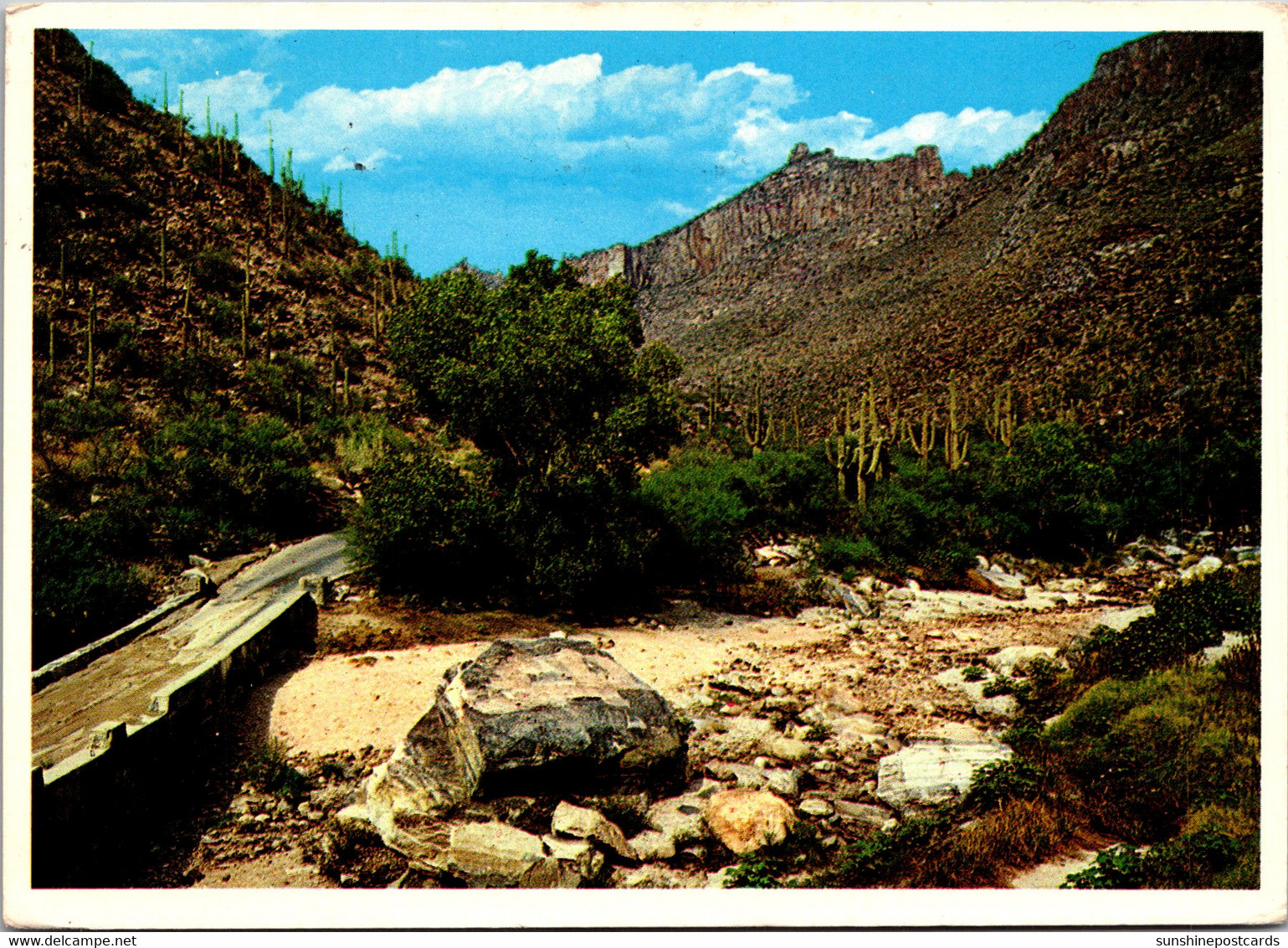 Arizona Tucson Scene In Sabino Canyon 1984 - Tucson