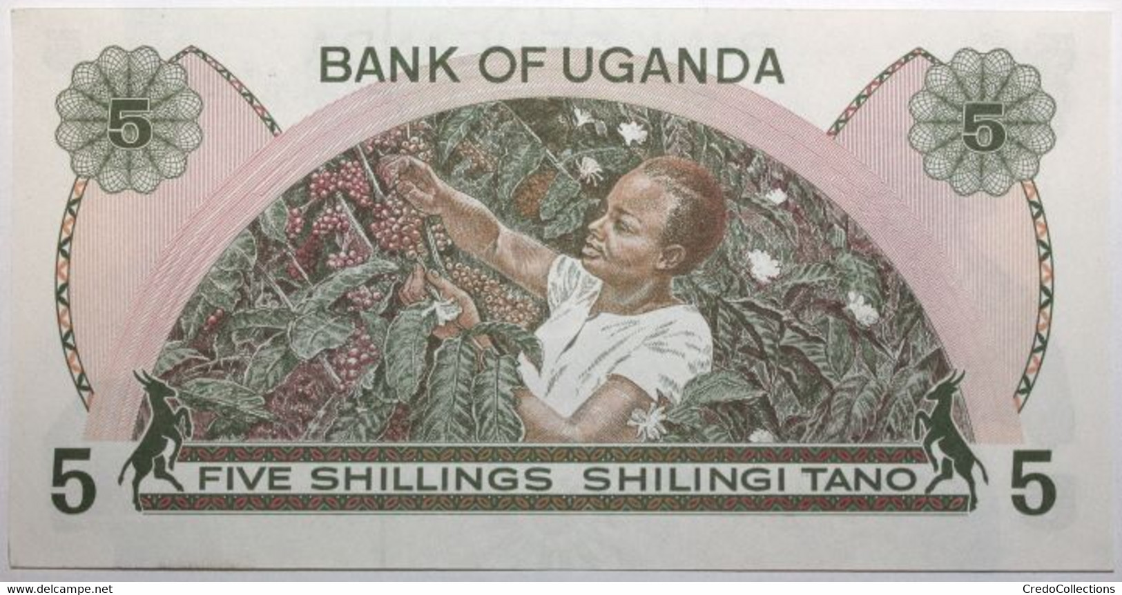 Ouganda - 5 Shillings - 1982 - PICK 15 - NEUF - Uganda