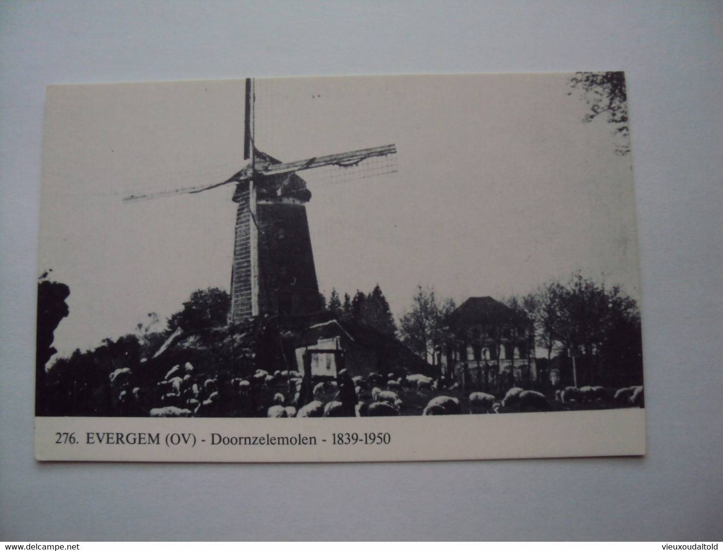 EVERGEM   Doornzelemolen   (1839 - 1950) - Destelbergen