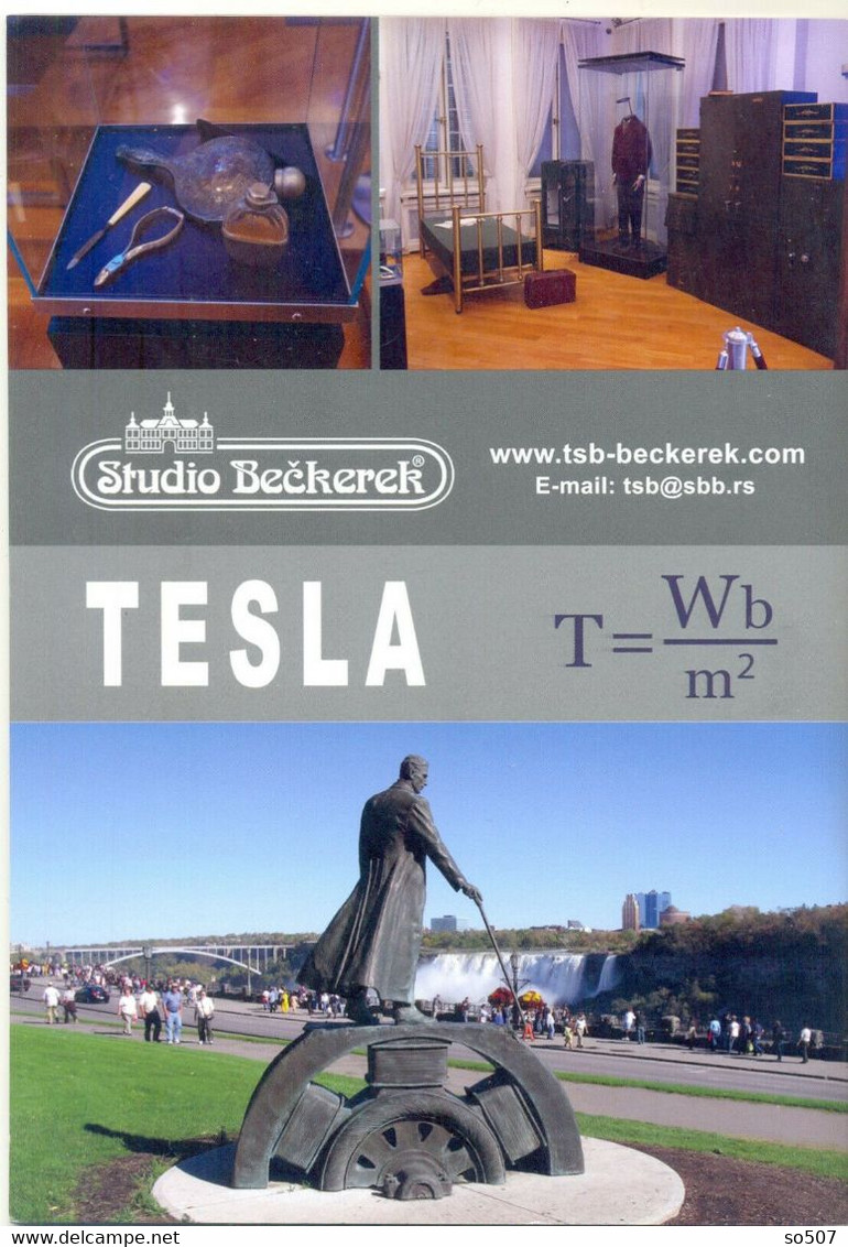 Book On English,Title-Tesla and There is Light-Life Of Nikola Tesla,Inventor,Mechanical,Electrical Engineer,Futurist