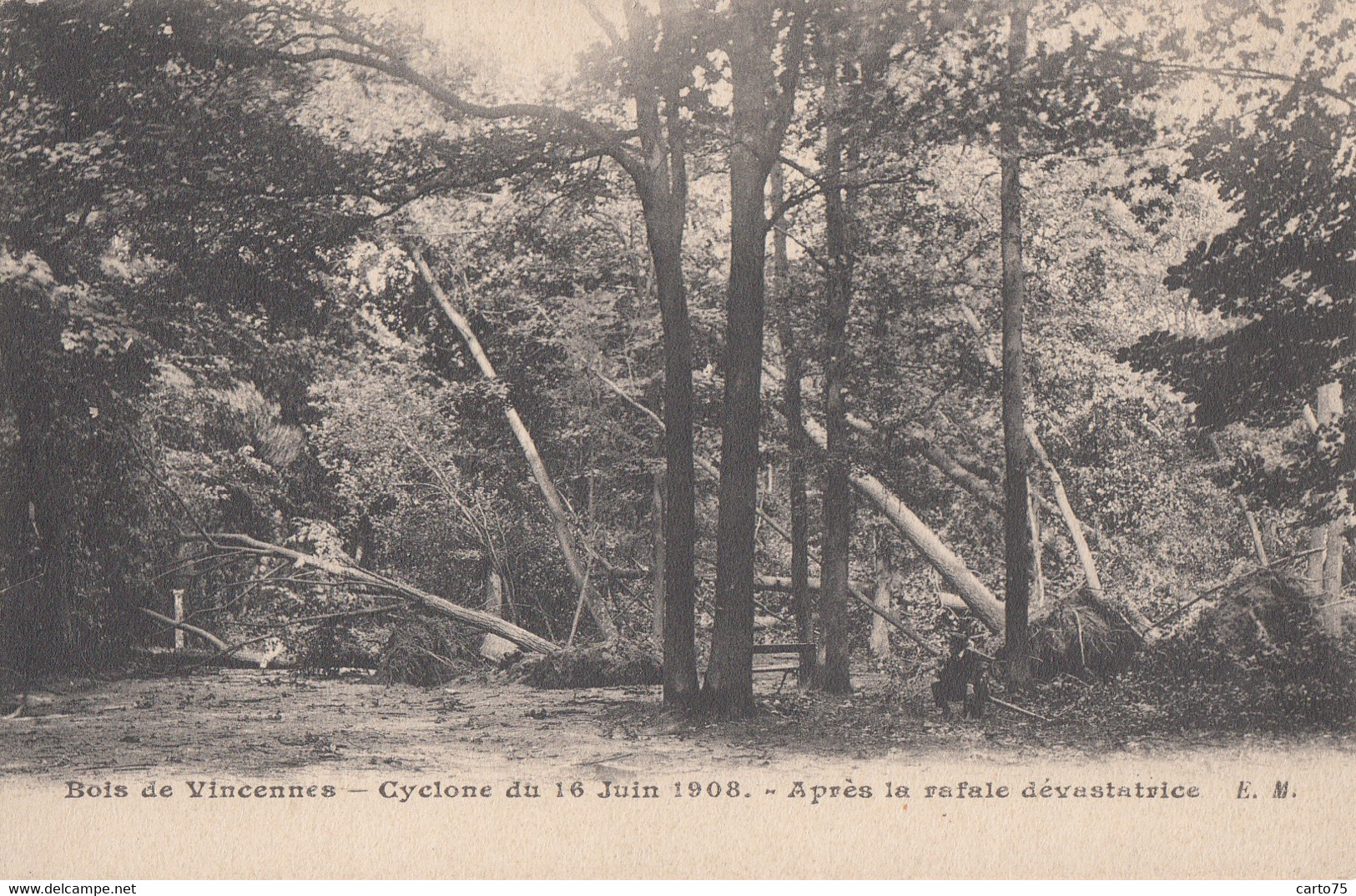 Evènements - Météo - Cyclone Du 16 Juin 1908 - Bois De Vincennes - Disasters