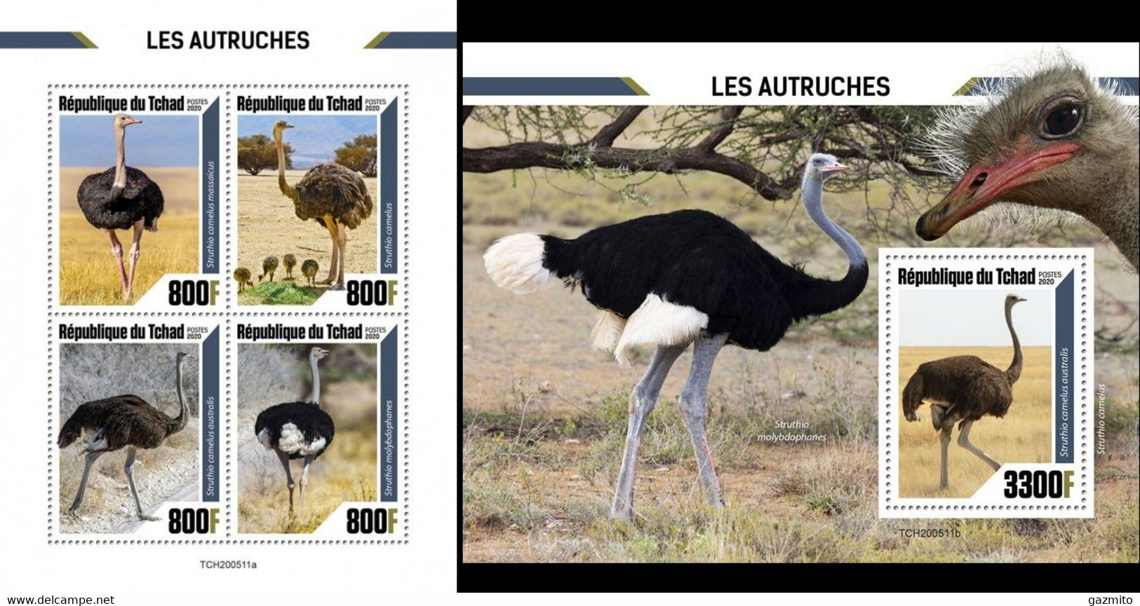 Tchad 2020, Animals, Ostrich, 4val In BF +BF - Ostriches