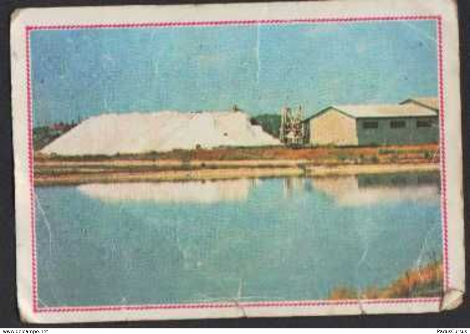 Stikers Figurine Panini Italia N°130 Saline Salt Evaporation Pond Marais Salant FAS00233 - Other & Unclassified