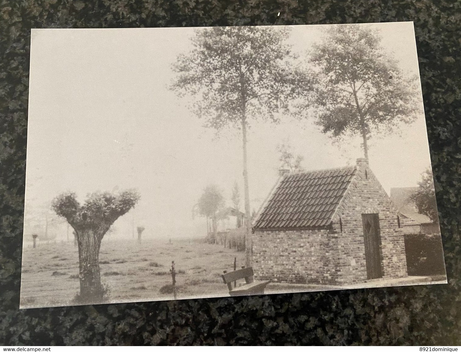 Beernem - St Joris - De Herbouwde Maria Kapel Op Het Eiland - Beernem