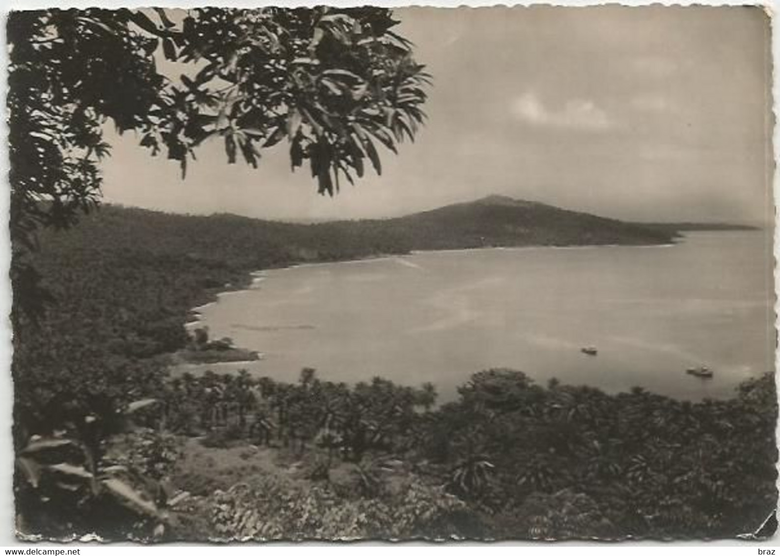 CPSM Guinée Iles De Loos - Guinée