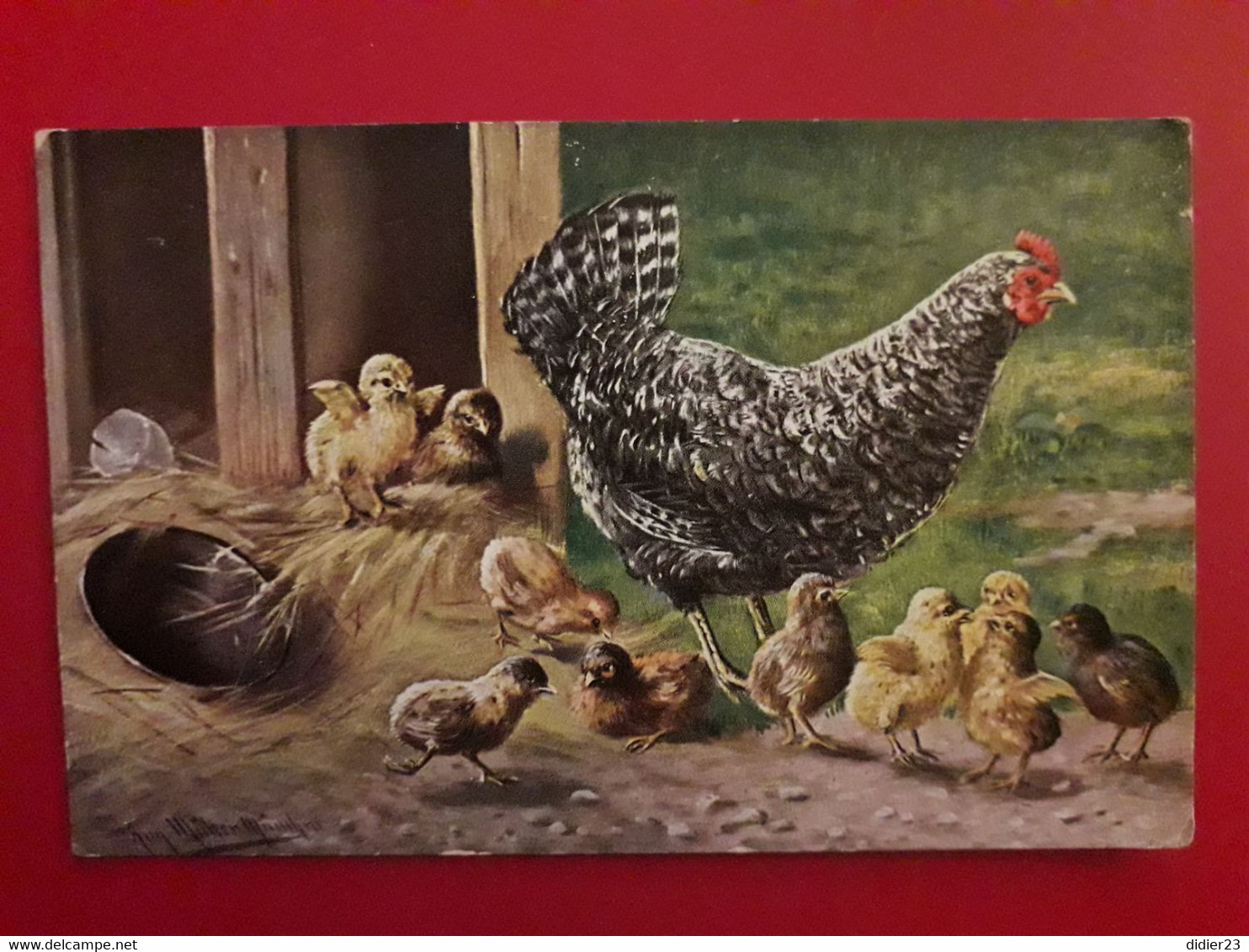 POULE POUSSIN POULAILLER - Luechwitz-Kooreffski