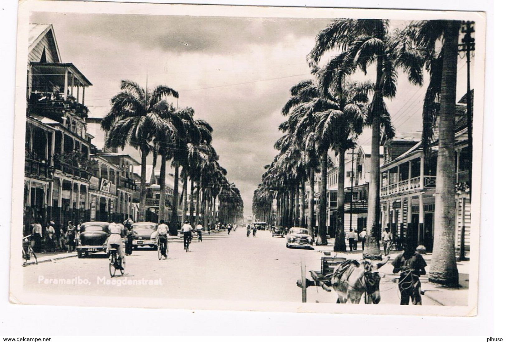 SUR-64  PARAMARIBO : Maagdenstraat - Surinam