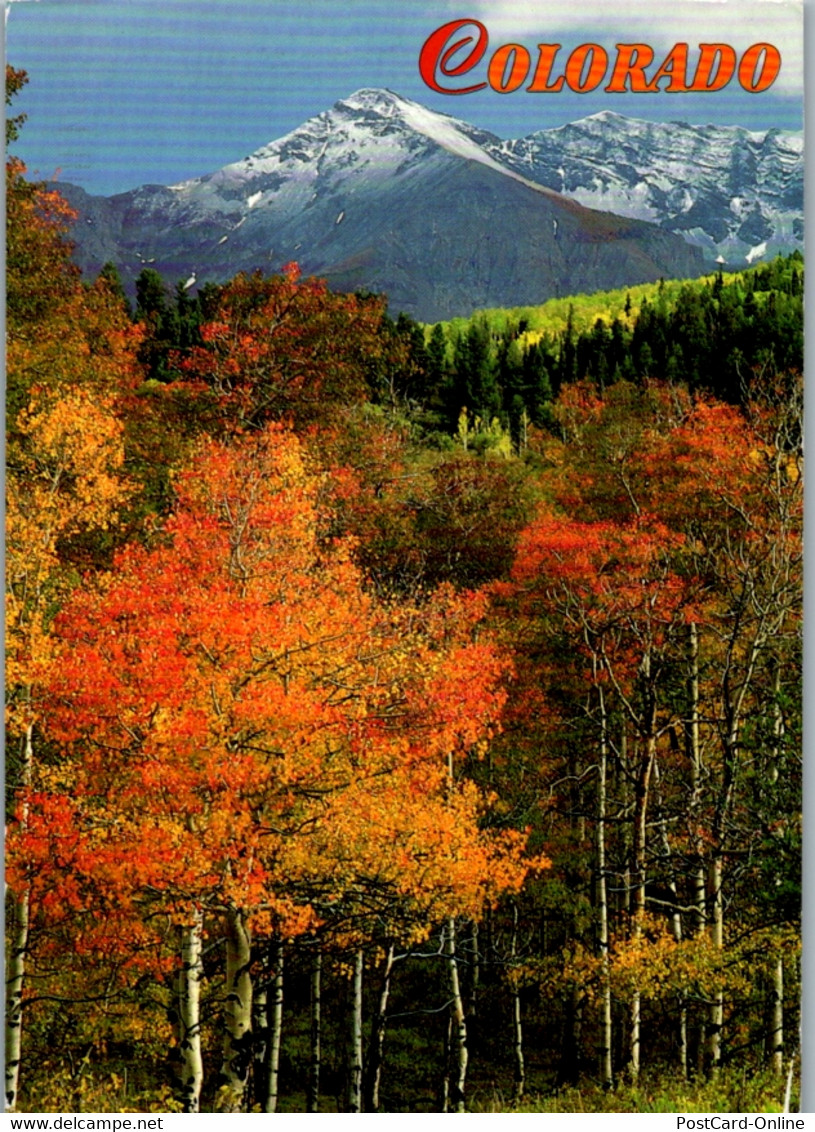 5606 - USA - Colorado , Rocky Mountain - Gelaufen 1996 - Rocky Mountains