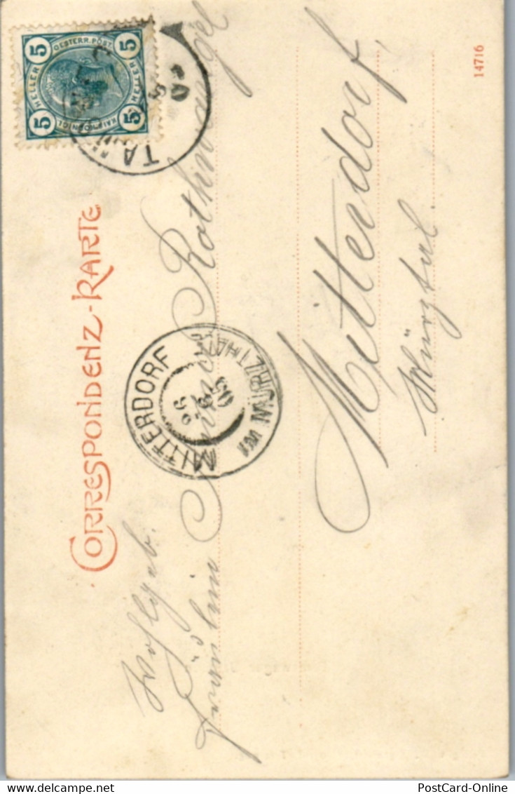 6390 - Salzburg - Tamsweg , Tamsweger Samson - Gelaufen 1905 - Tamsweg