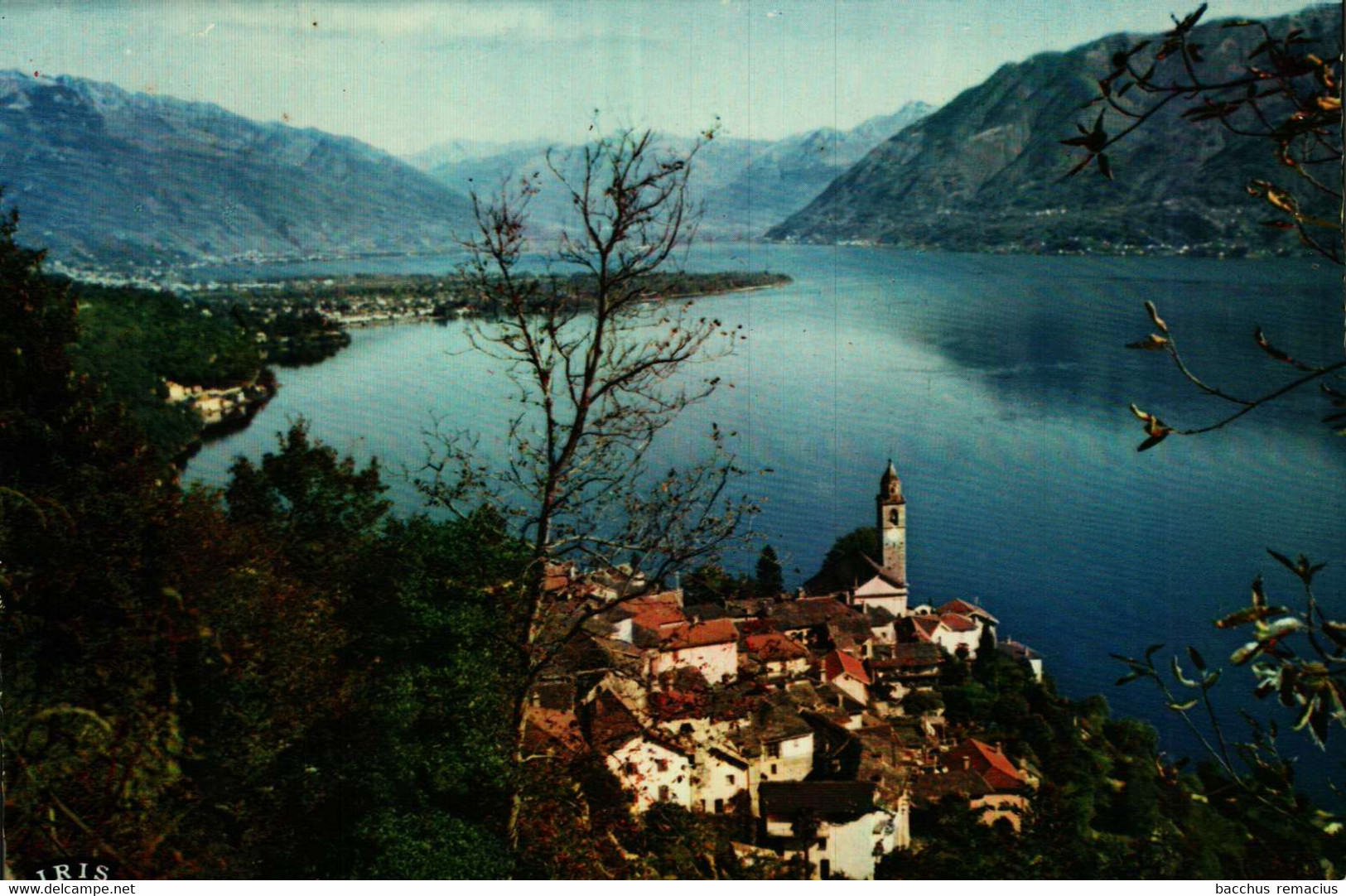 RONCO S/ASCONA  (Lago Maggiore)  Poststempel Orselina 8.8.1966 - Orselina