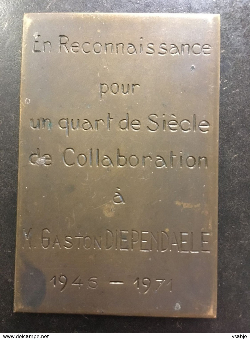 Medaille Voor 25 Jaar Dienst Voor M. Gaston Diependaele (1946-1971) Graveur: J. De Bast (1883 – 1975) Emile Bernheim - Firma's