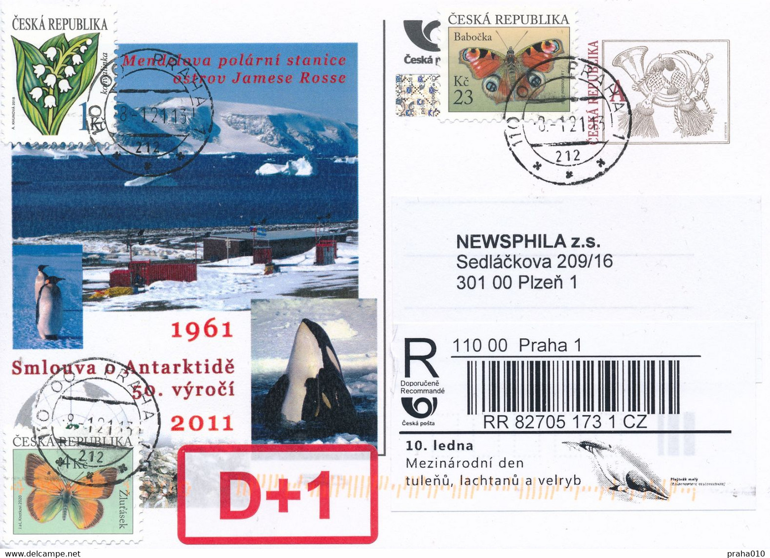 Czech Rep. / Comm. R-label (2021/02) Praha 1: Day Of Seals, Sea Lions And Whales (Balaenoptera Acutorostrata) (X0010) - Briefe U. Dokumente