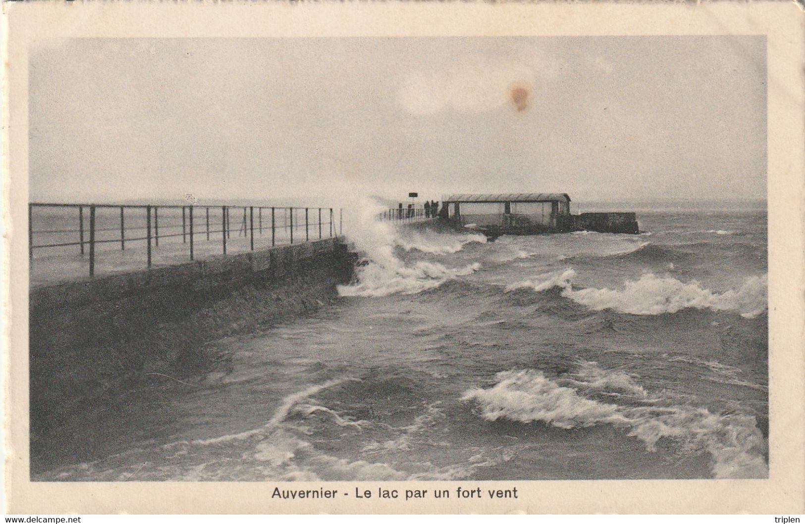 Auvernier - Le Lac Par Un Fort Vent - Auvernier