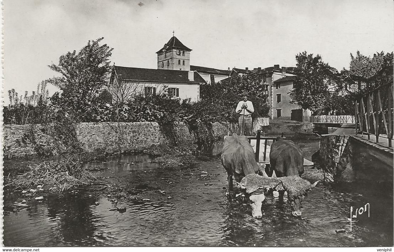 ESPELETTE - LE PAYS BASQUE - CARTE PHOTO -ATTELAGE BASQUE - ANNEE 1950-60 - Espelette