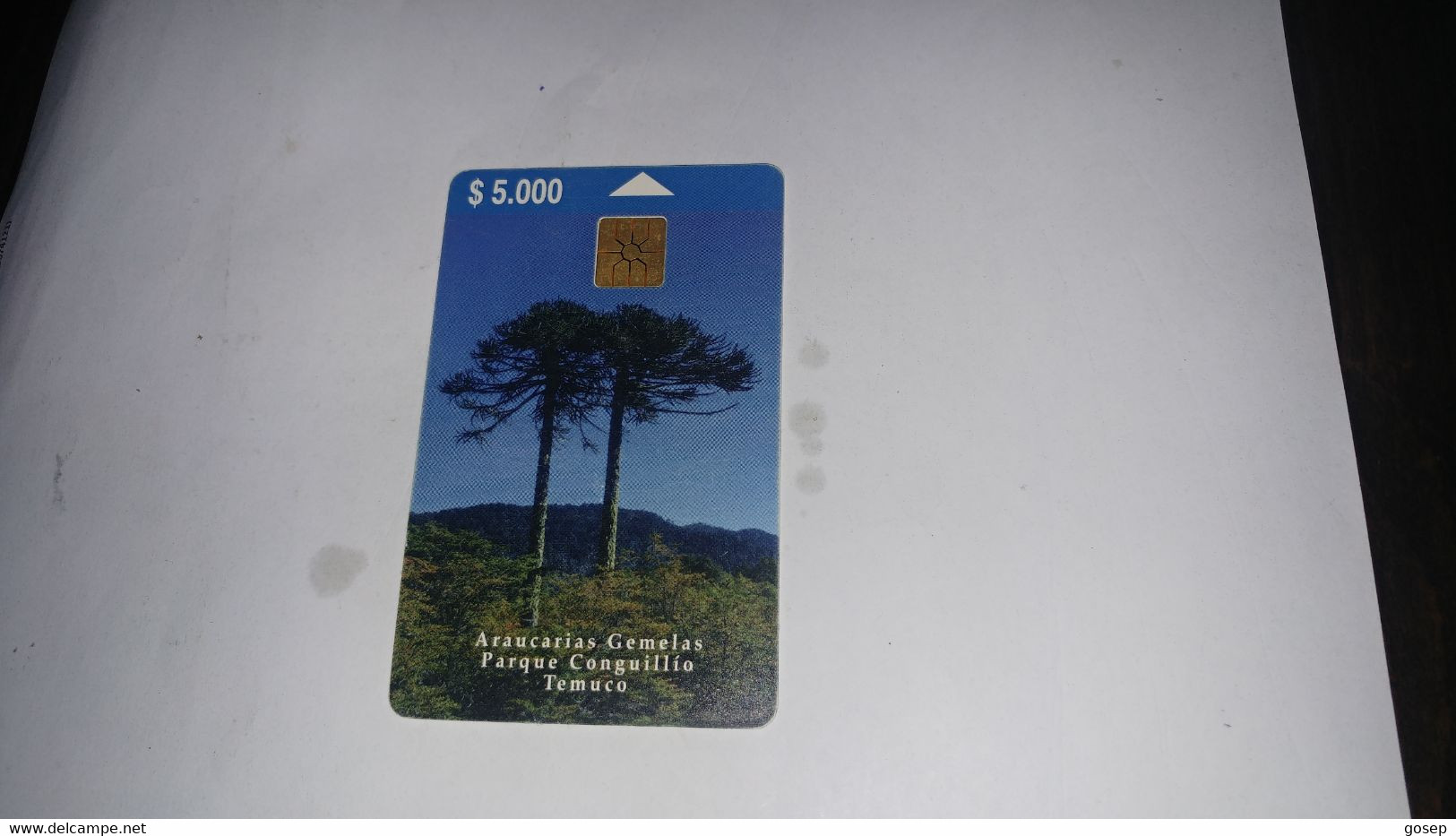 Chile-(cl-tlf-02)-araucarias-(150)-($5.000)-(G02782065)-(6/1999)-(tirage-50.000)-used Card+1card Prepiad Free - Chile