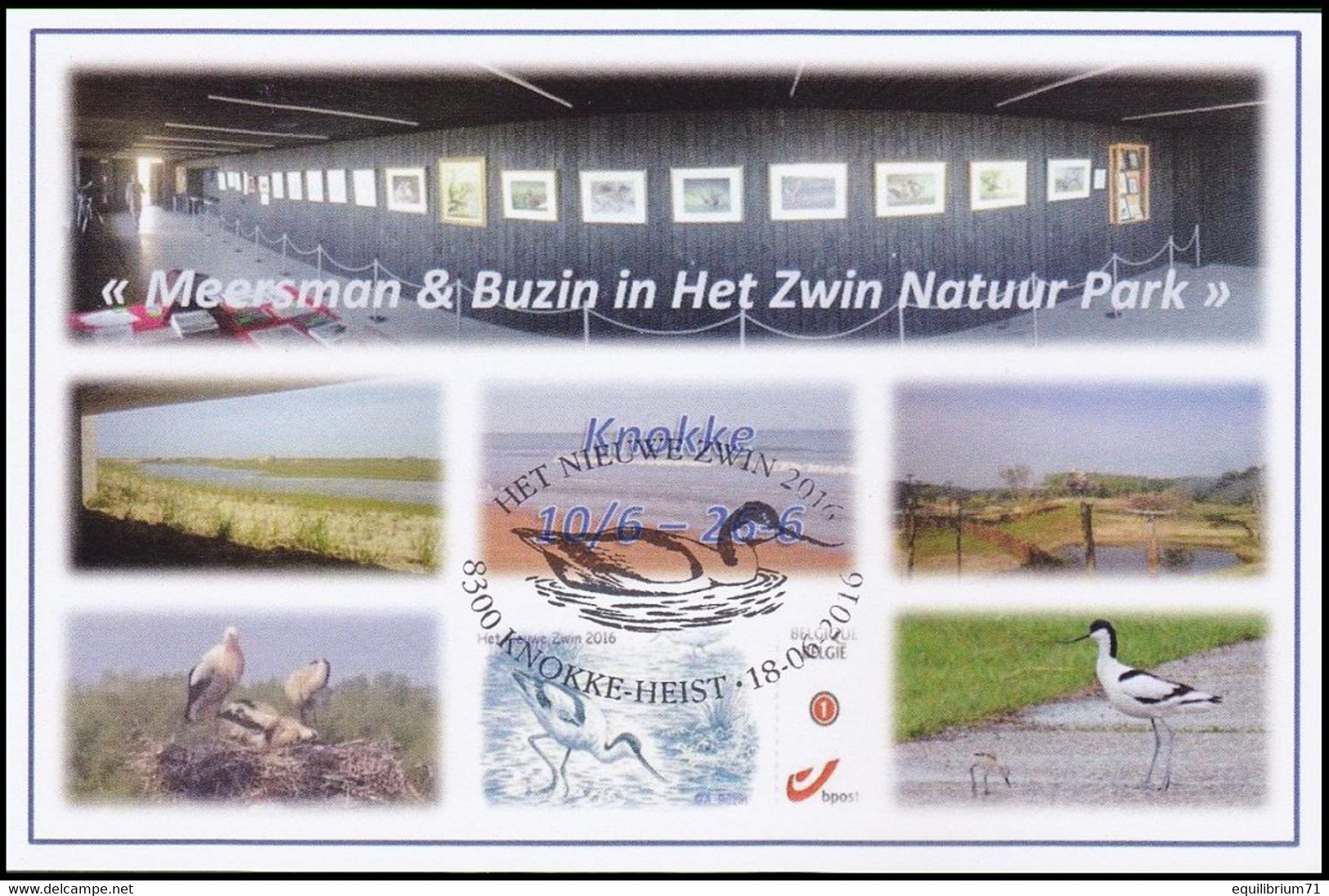 DUOSTAMP/MYSTAMP** - FDC -  Avocette élégante / Kluut / Avocet / Recurvirostra Avosetta - Zwin - BUZIN - Covers & Documents