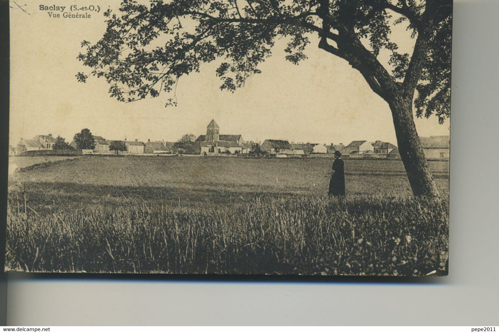 CPA 91 SACLAY Vue Générale Femme Arbre En 1er Plan Ville Au Fond - Saclay