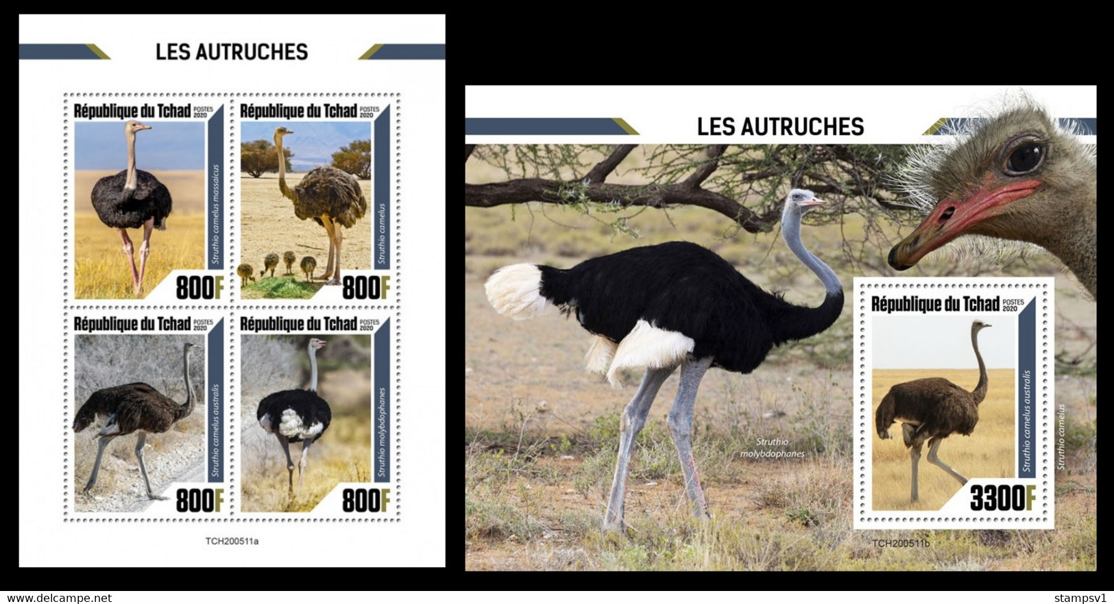 Chad 2020 Ostriches. (511) OFFICIAL ISSUE - Ostriches