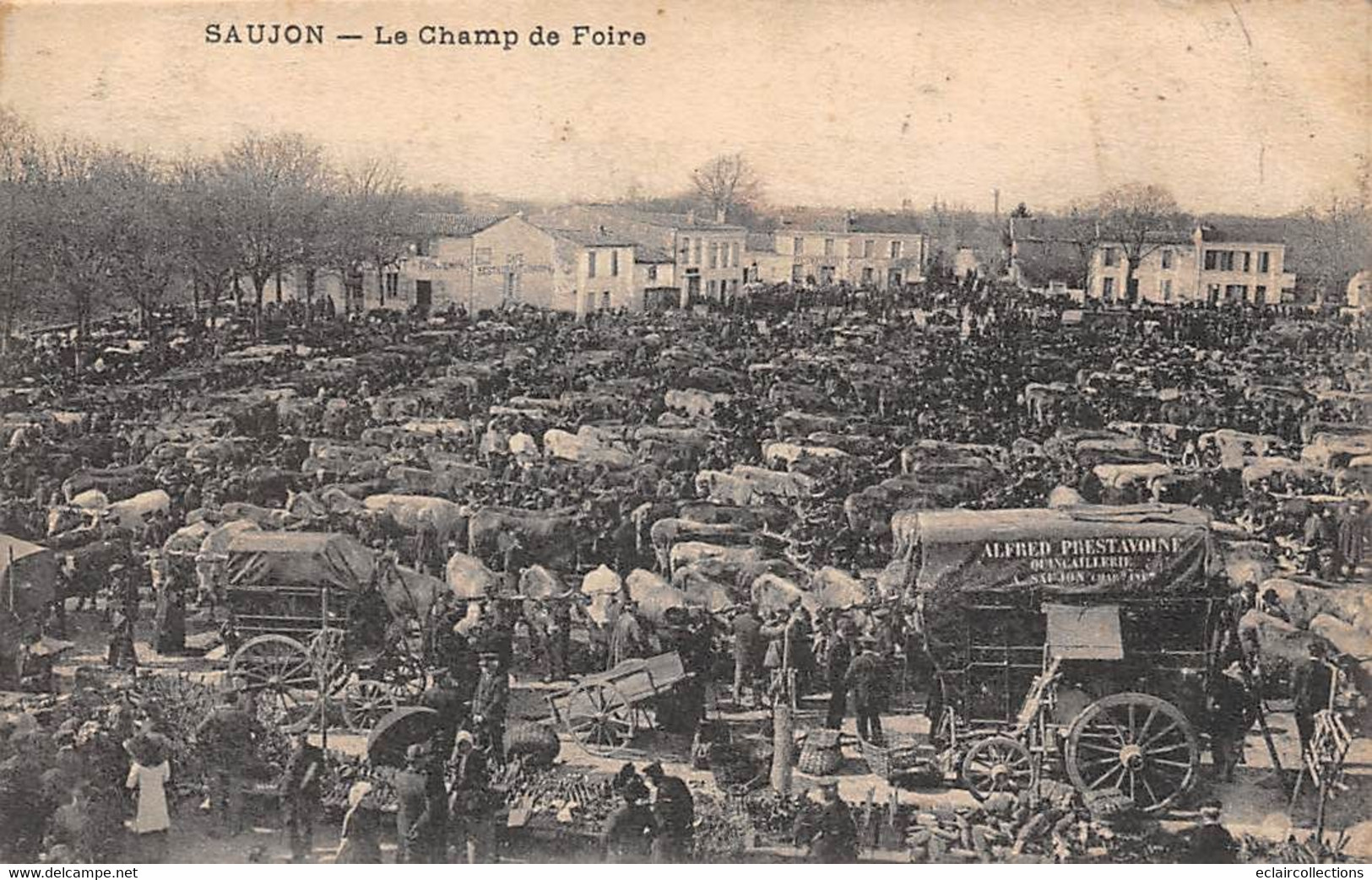 Saujon      17            Le Champ De Foire            (voir Scan) - Saujon