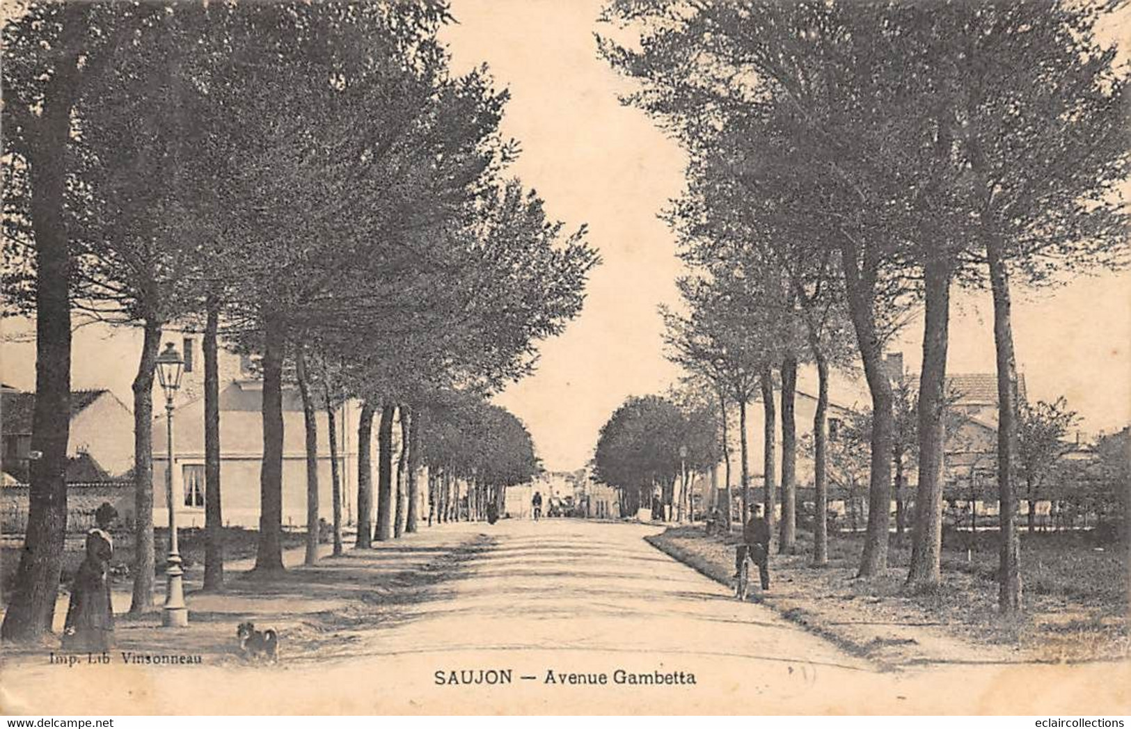 Saujon         17         Avenue Gambetta        (voir Scan) - Saujon