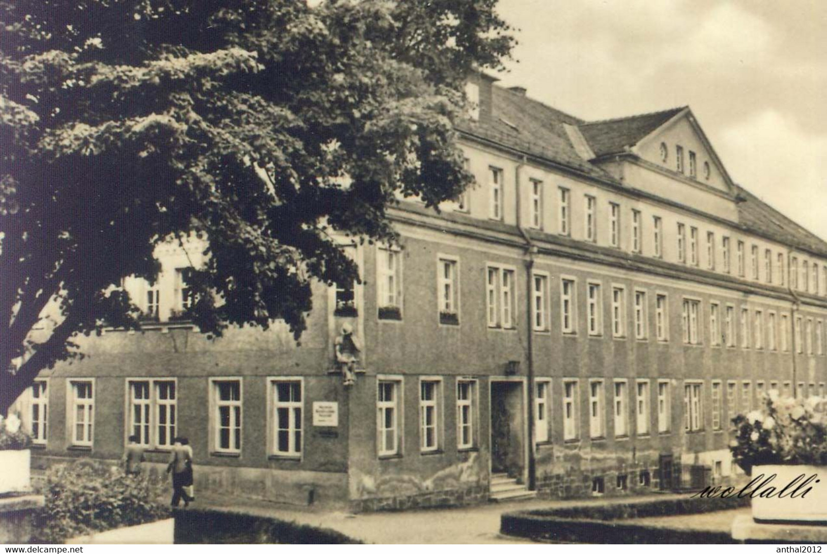 Rarität Burgstädt Sachsen MB HO Geschäft Karl-Marx-Straße - Allgemeine Berufsschule 19.9.1965 - Burgstaedt