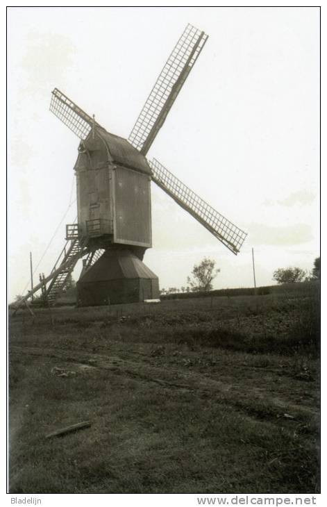 MERKSPLAS (Antw.) - Molen/moulin - Maxikaart Van De Verdwenen Houten Standaardmolen "Arbeid Adelt", Ca. 1925. Fraai! - Merksplas