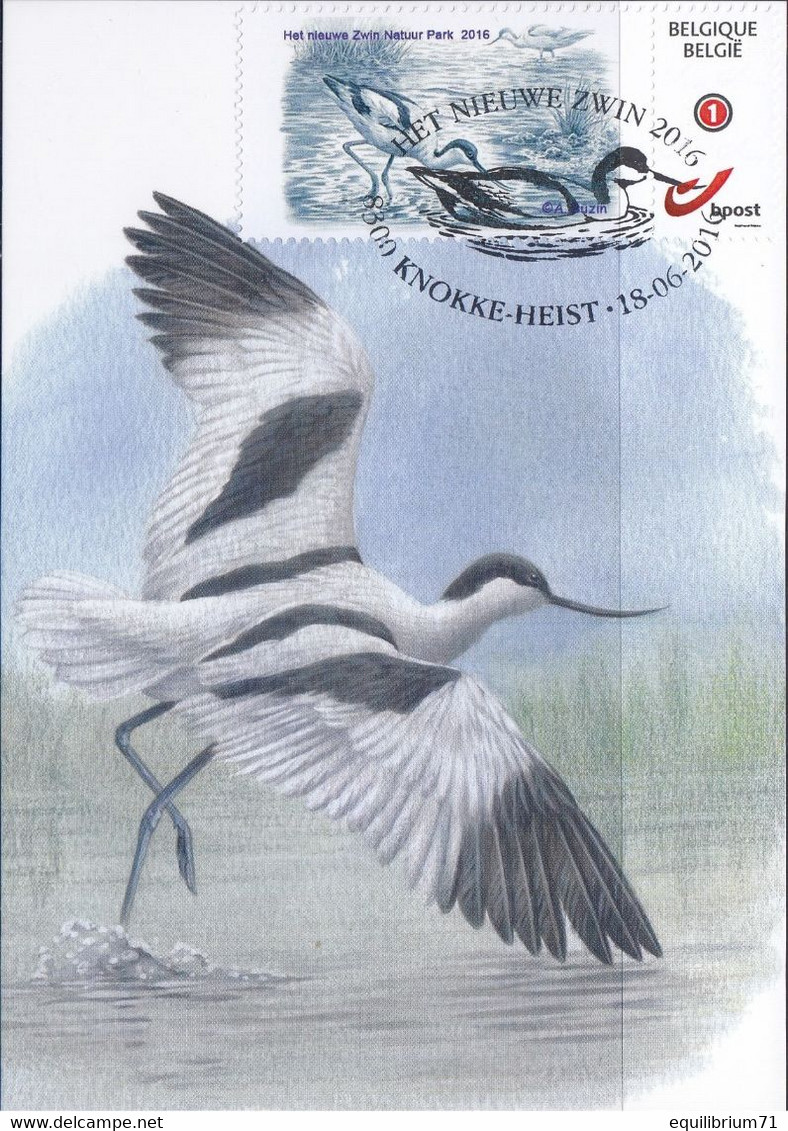 CM/MK - MYSTAMP° - FDC - Avocette élégante / Kluut / Avocet / Recurvirostra Avosetta - Zwin - BUZIN - Covers & Documents