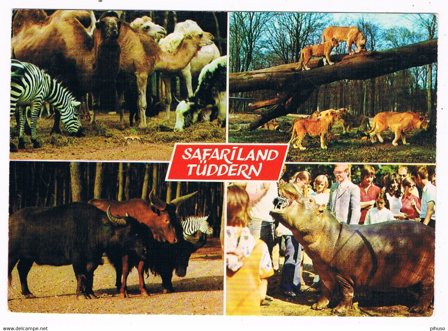 D-12305   TÜDDERN : Safariland ( Zoo, Dierentuin ) - Heinsberg