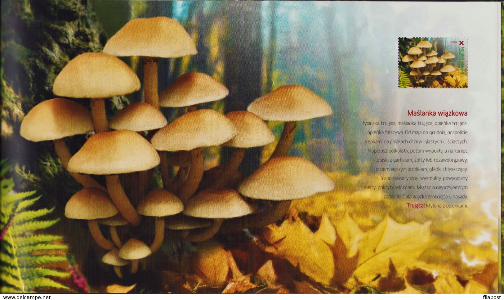 POLAND 2012 Booklet / Edible And Poisonous Mushrooms In Polish Forests / Full Sheet MNH** - Cuadernillos