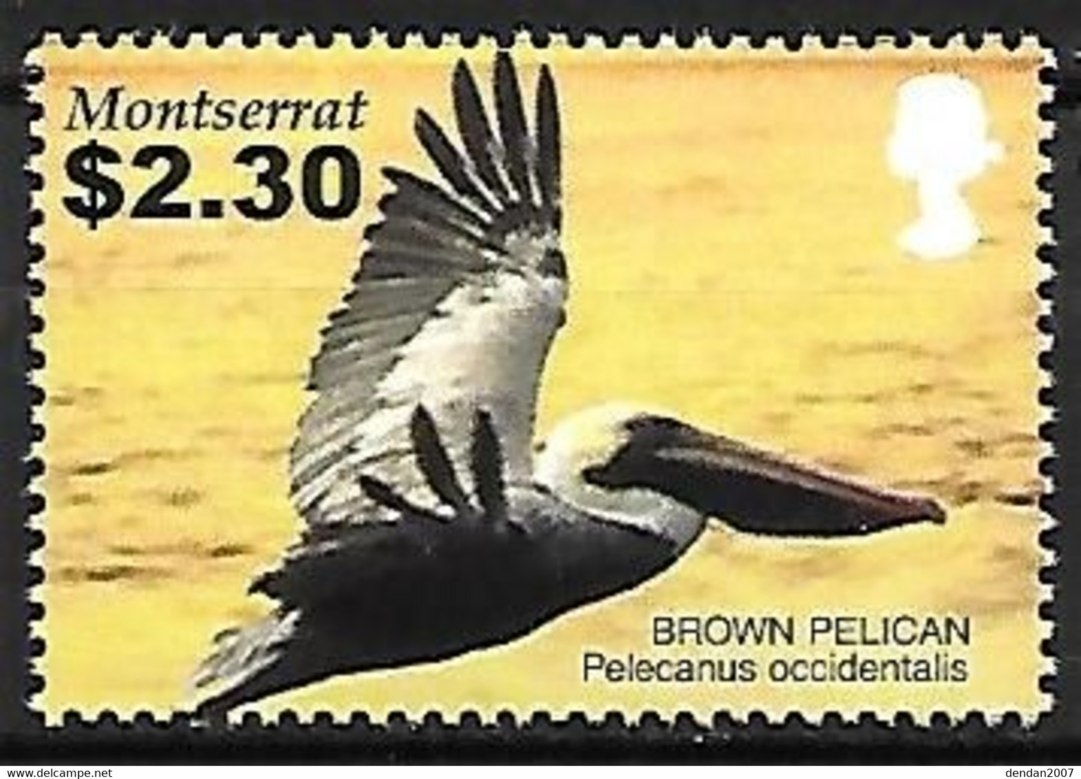 Montserrat - MNH ** 2005 :  Brown Pelican  -  Pelecanus Occidentalis - Pélicans